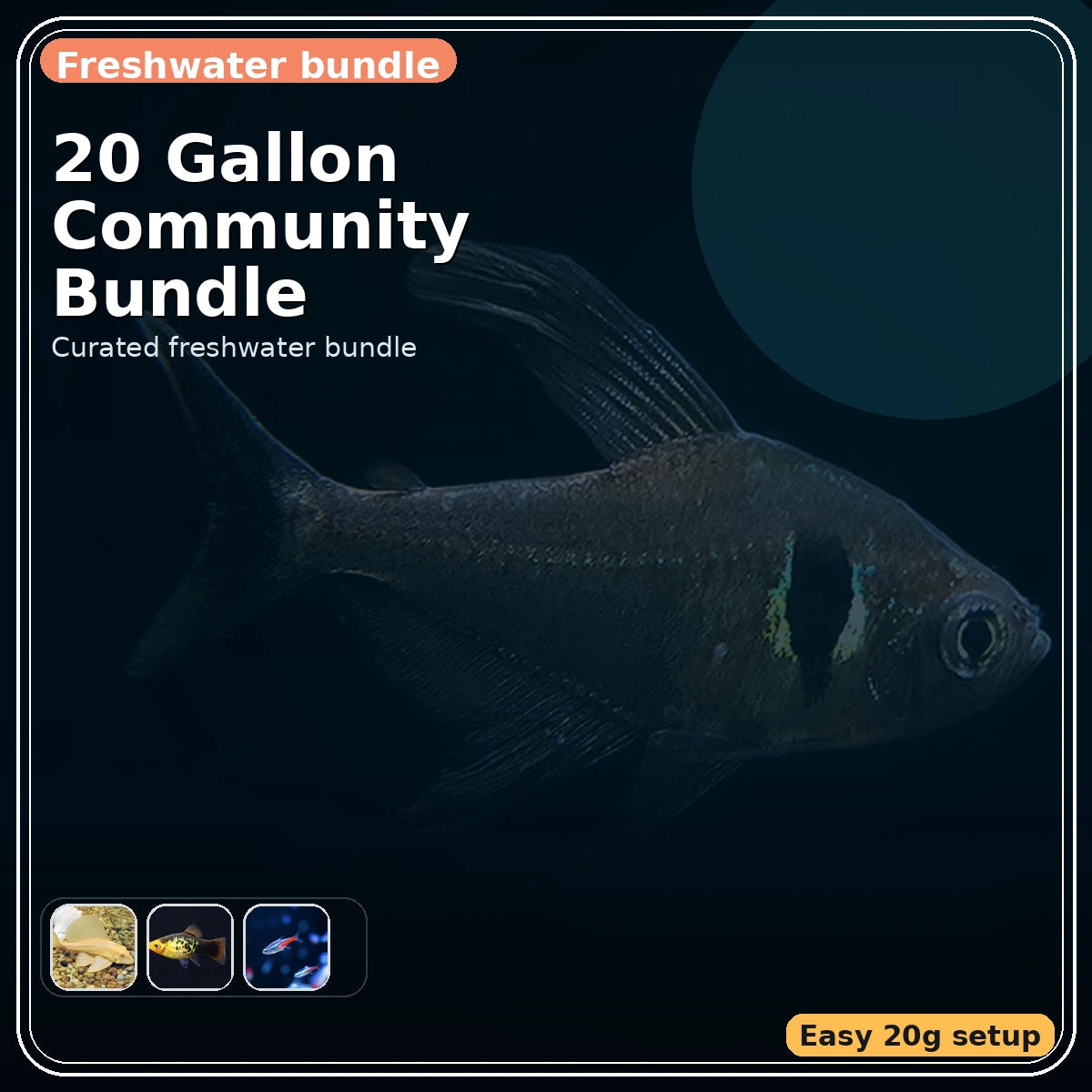 20 Gallon Community Bundle