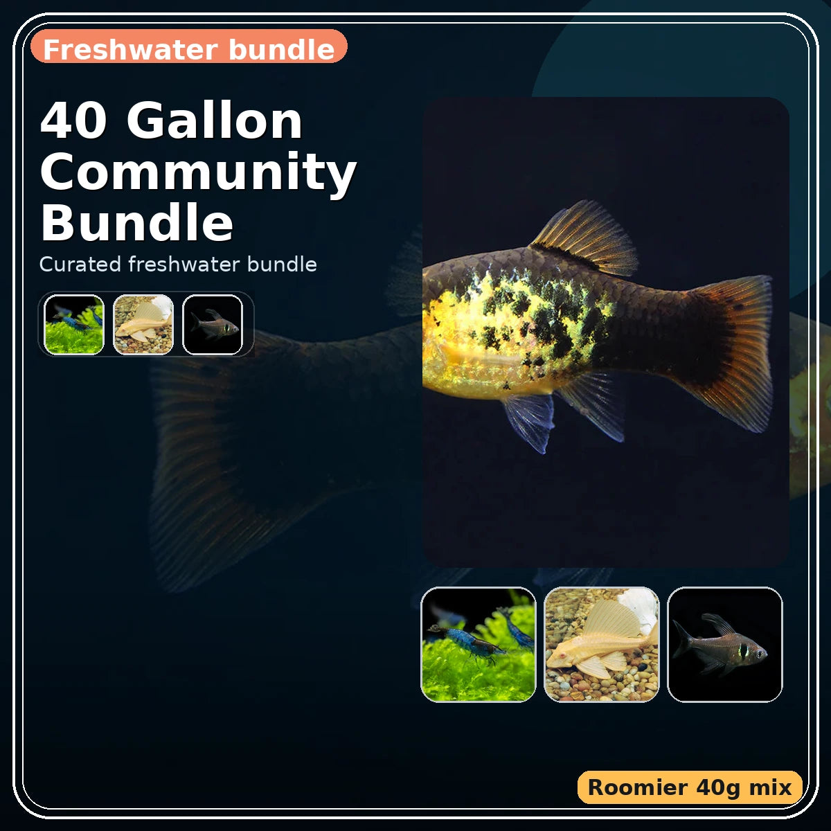 40 Gallon Community Bundle