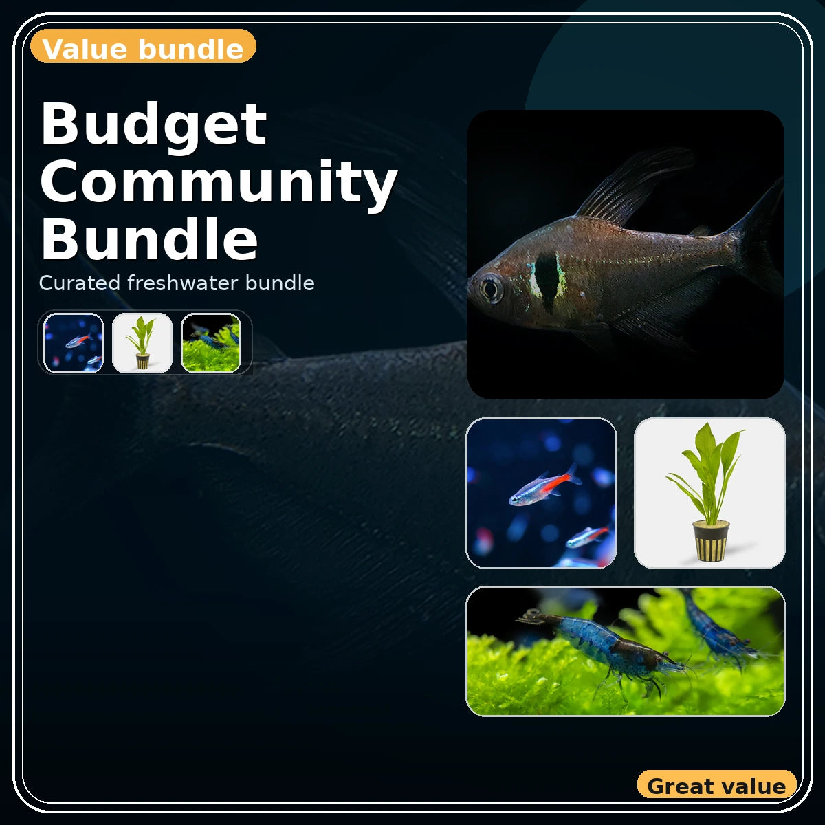 Budget Community Bundle