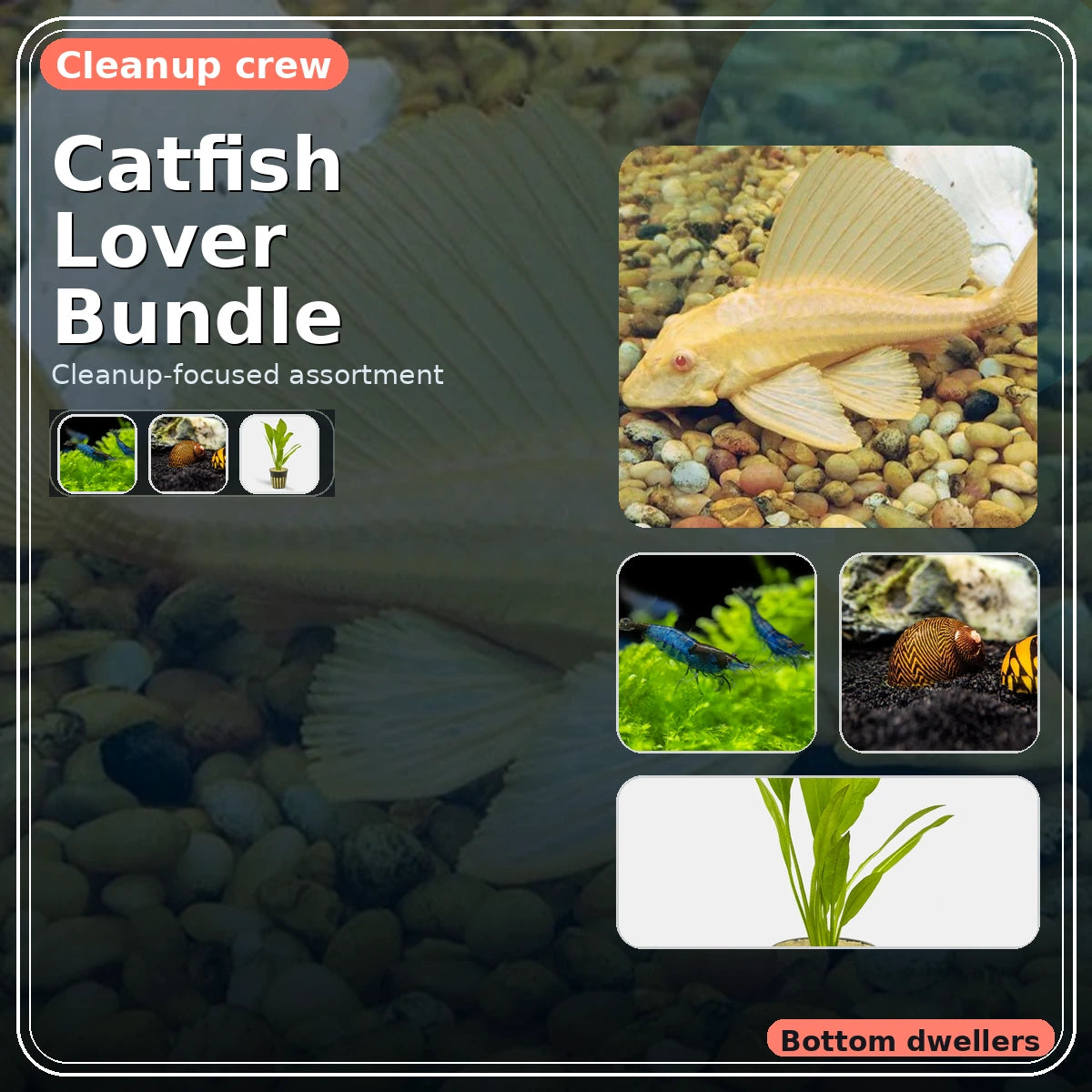 Catfish Lover Bundle