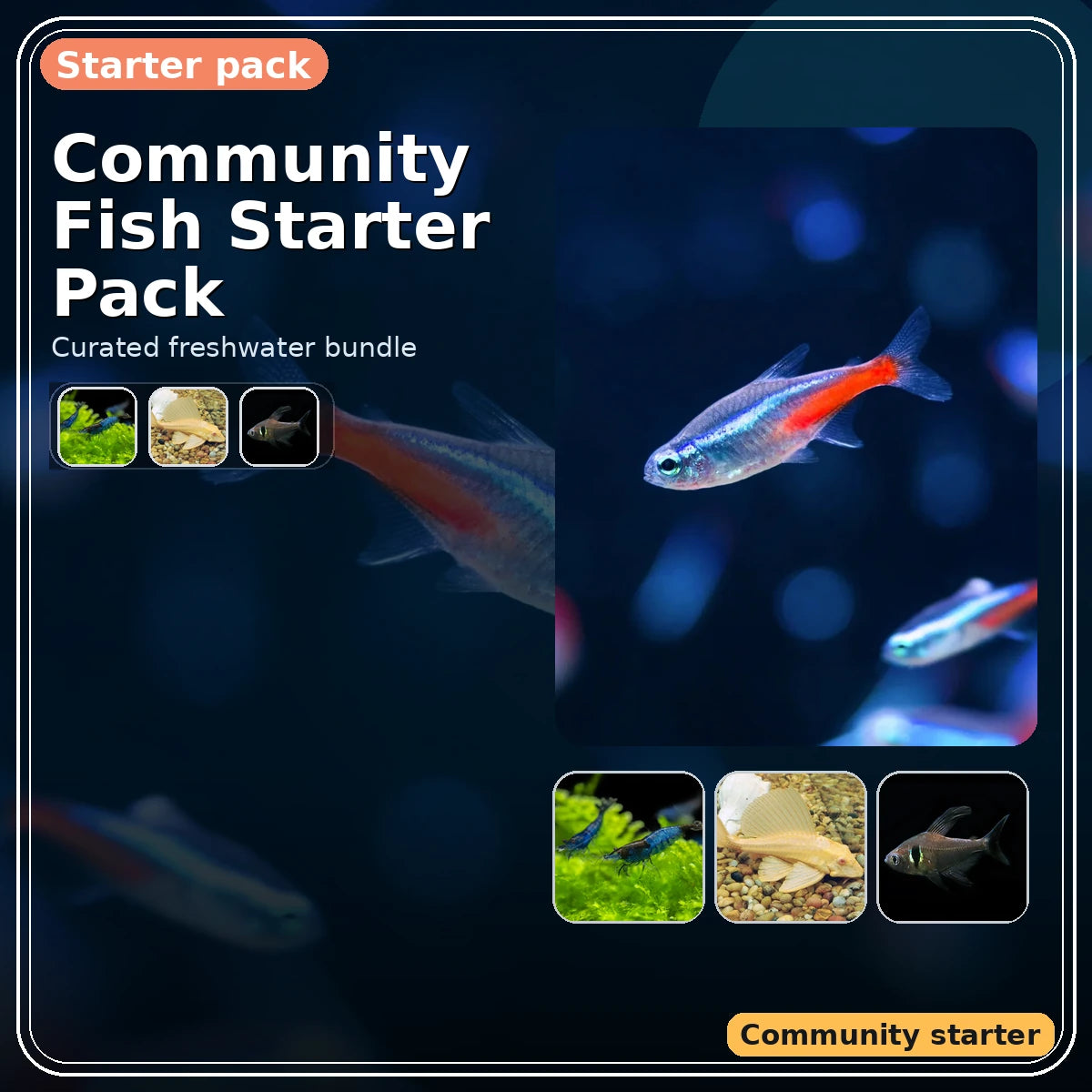 Community Fish Starter Pack