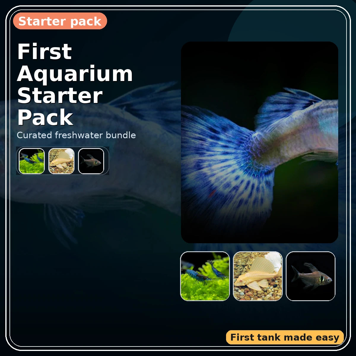 First Aquarium Starter Pack