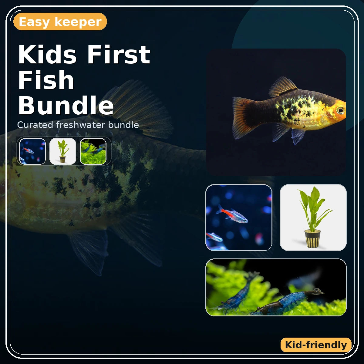 Kids First Fish Bundle