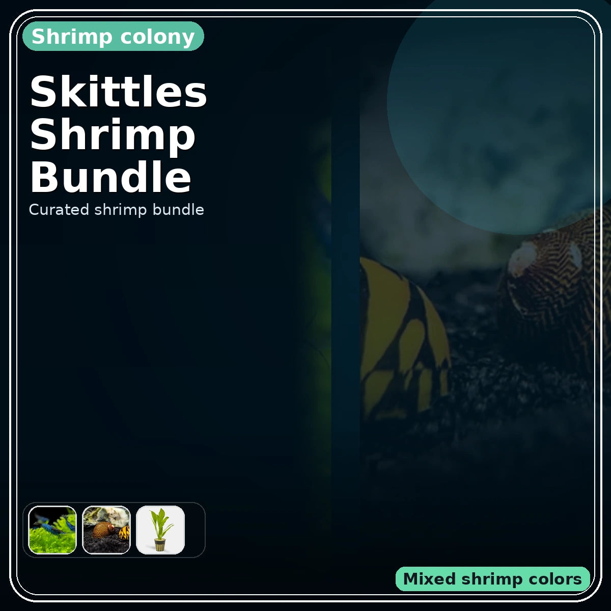 Skittles Shrimp Color Mix Bundle
